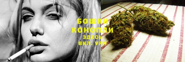 шишки Снежногорск