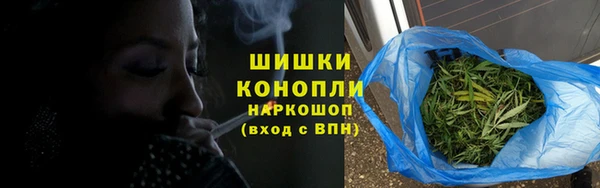 трава Арсеньев