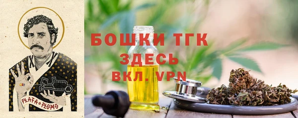 шишки Снежногорск