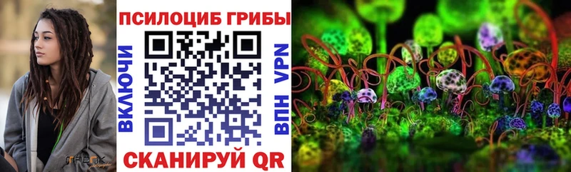 наркошоп  мега ссылки  Псилоцибиновые грибы мицелий  Майский 